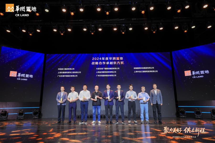 1752480294988514s5TO.jpg 战略合作卓越供方奖.jpg